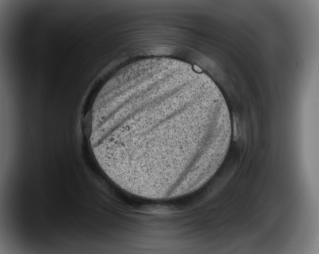 X0000087550300200705251745