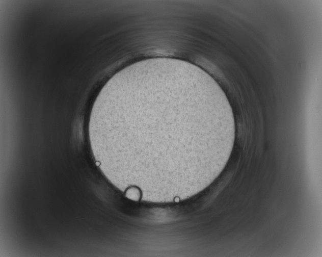 X0000087550302200705251745