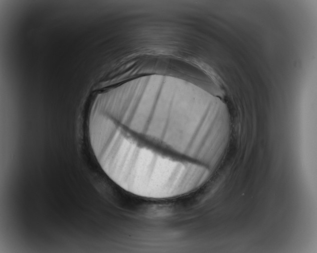 X0000087550303200705251745