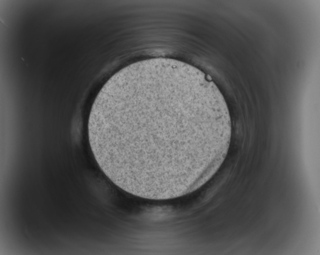 X0000087550304200705251745