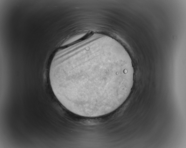X0000087550305200705251745