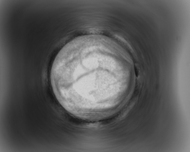 X0000087550306200705251745