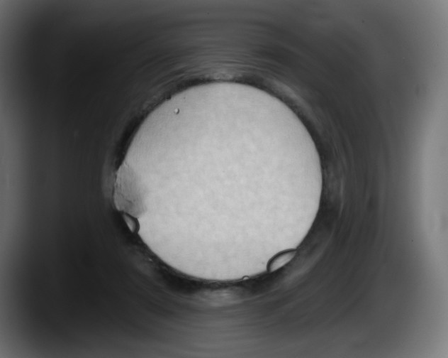 X0000087550307200705251745