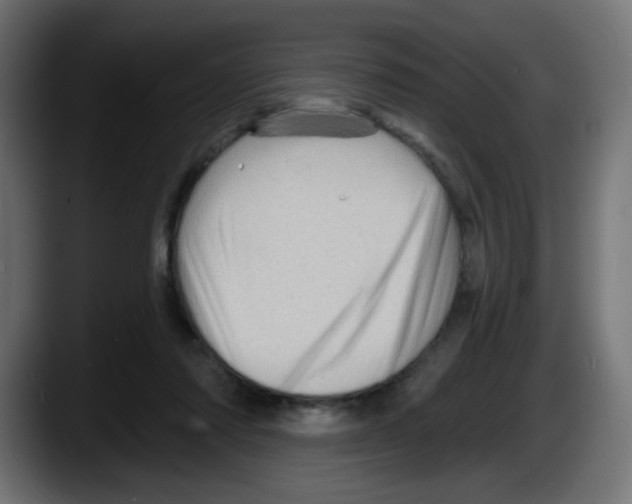 X0000087550310200705251745