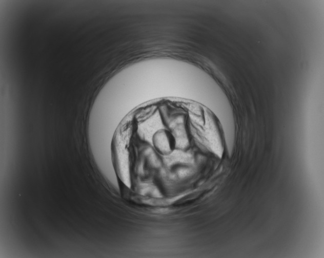 X0000087550313200705251745