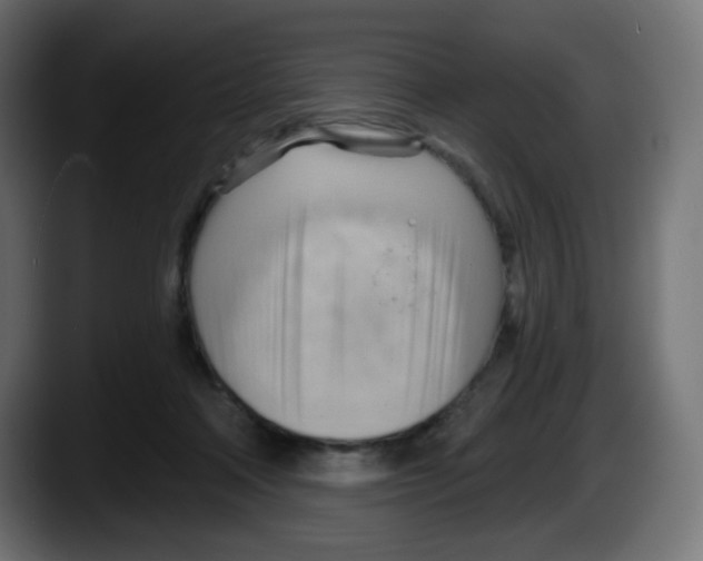 X0000087550314200705251745