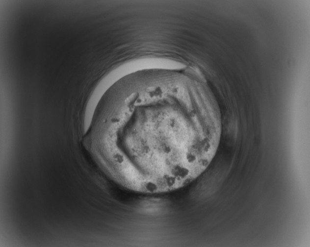 X0000087550315200705251745