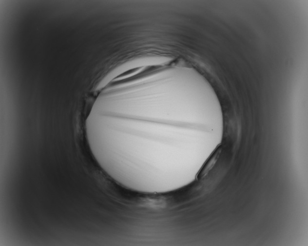 X0000087550317200705251745