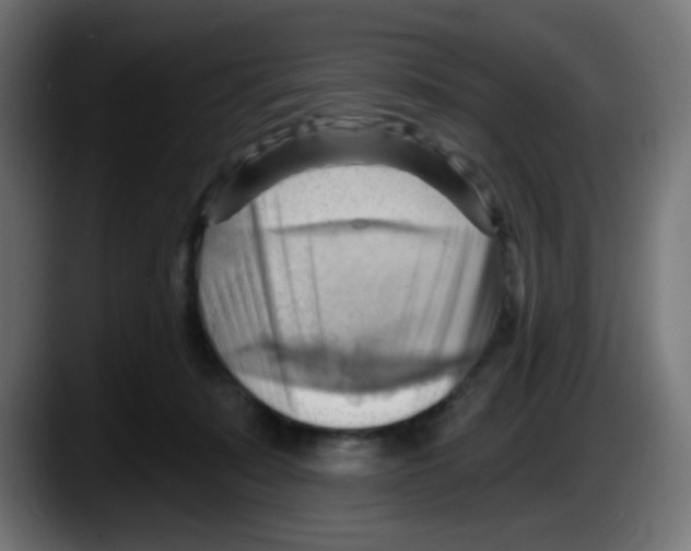 X0000087550319200705251745