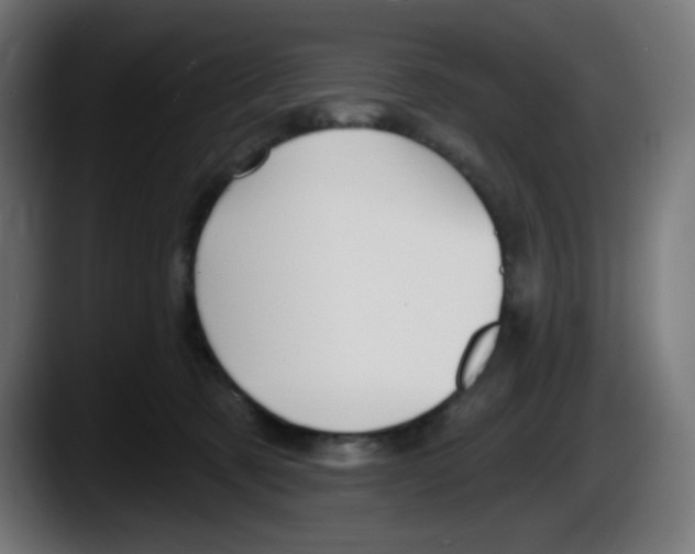 X0000087550321200705251745
