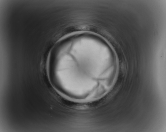 X0000087550322200705251745