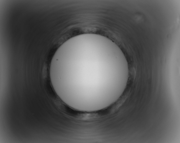 X0000087550323200705251745