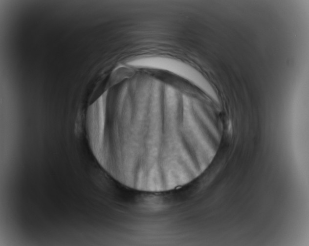 X0000087550325200705251745