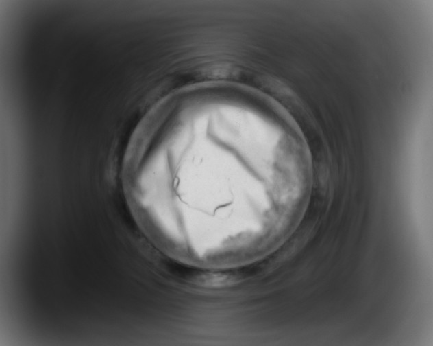 X0000087550326200705251745