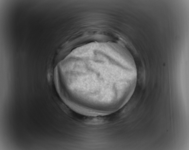 X0000087550329200705251745