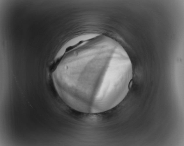 X0000087550330200705251745
