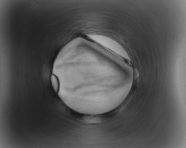 X0000087550331200705251745