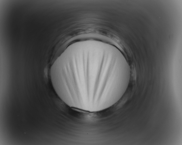 X0000087550333200705251745