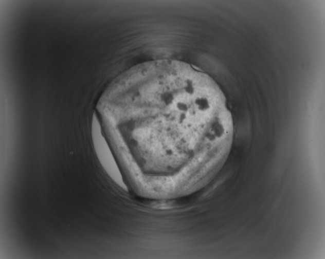 X0000087550335200705251745