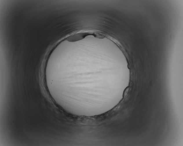 X0000087550337200705251744