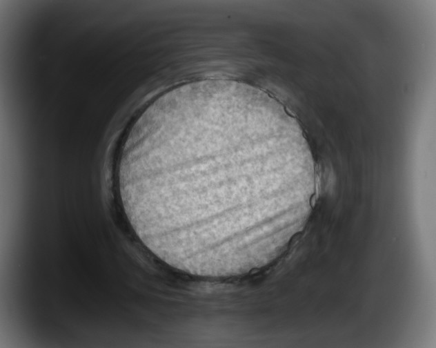 X0000087550339200705251744