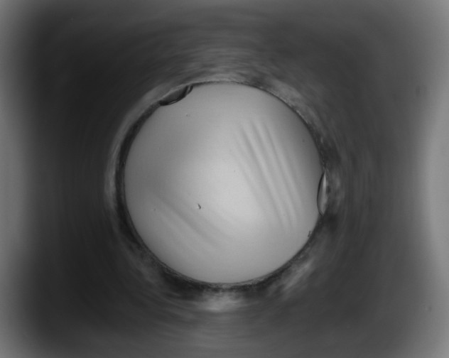 X0000087550340200705251744
