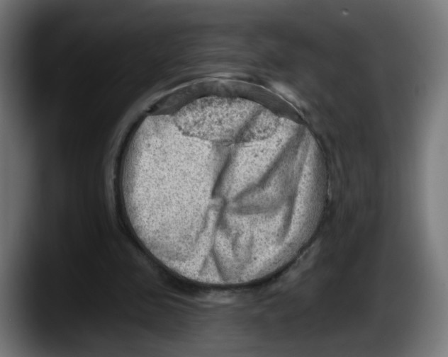 X0000087550341200705251744