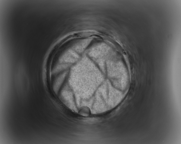 X0000087550342200705251744