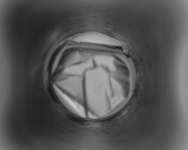 X0000087550343200705251744