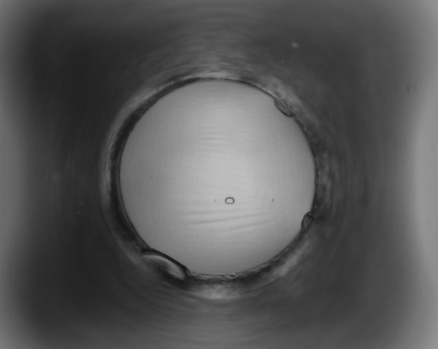 X0000087550344200705251744