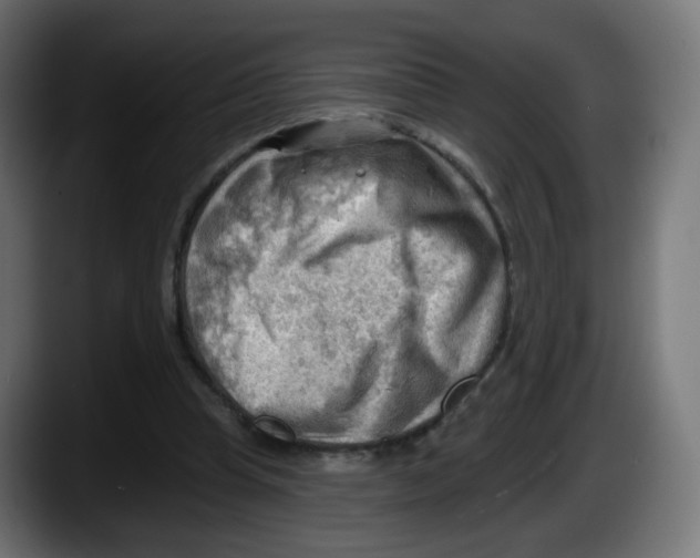 X0000087550345200705251744