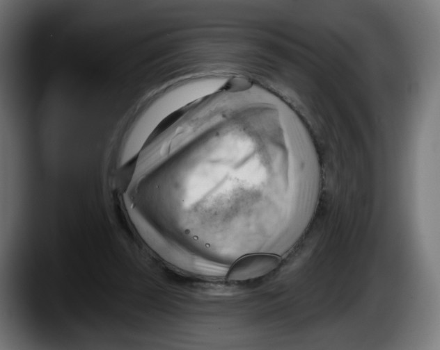 X0000087550347200705251744