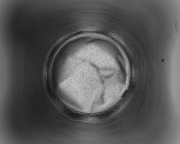 X0000087550348200705251744