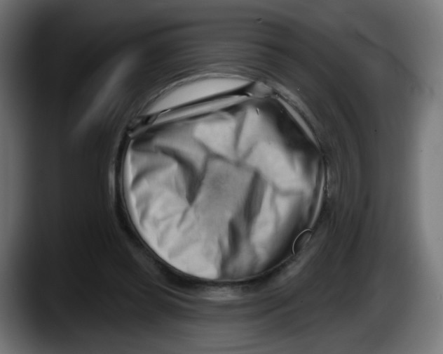 X0000087550349200705251744