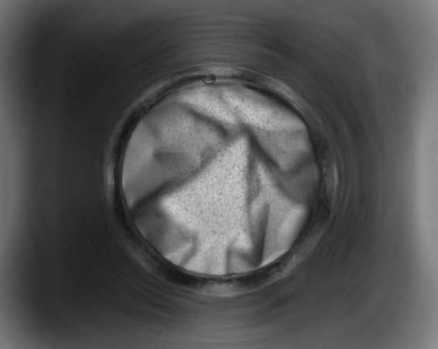 X0000087550350200705251744