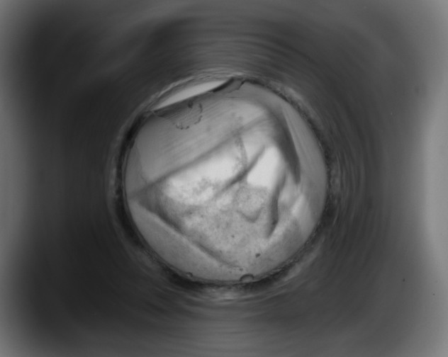X0000087550351200705251745