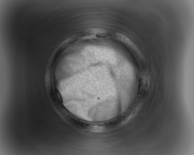 X0000087550352200705251745