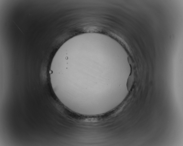 X0000087550353200705251745