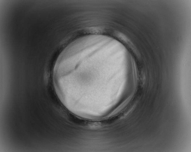 X0000087550355200705251745