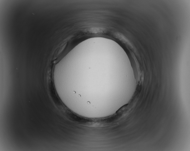 X0000087550356200705251745