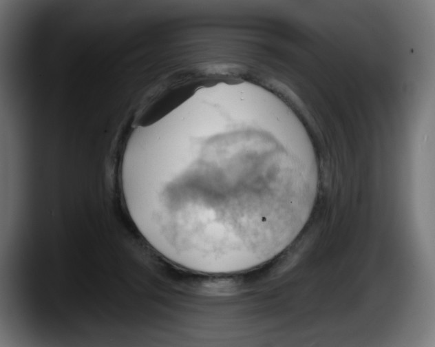 X0000087550357200705251745