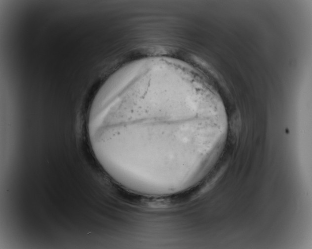 X0000087550359200705251745