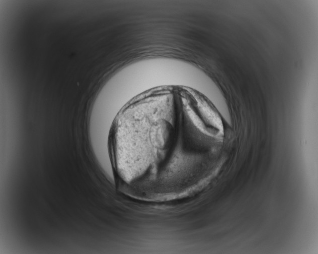 X0000087550360200705251745