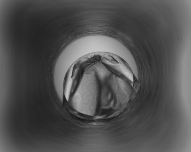 X0000087550364200705251745
