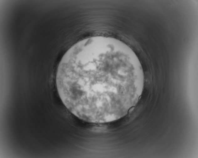 X0000087550369200705251745