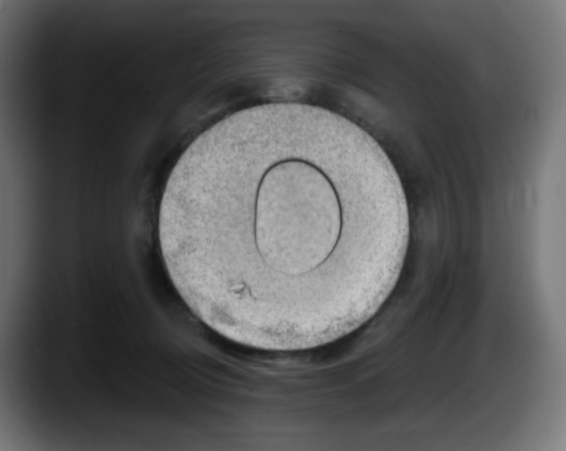 X0000087550370200705251745