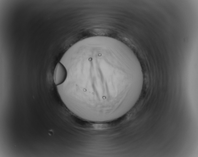 X0000087550371200705251745