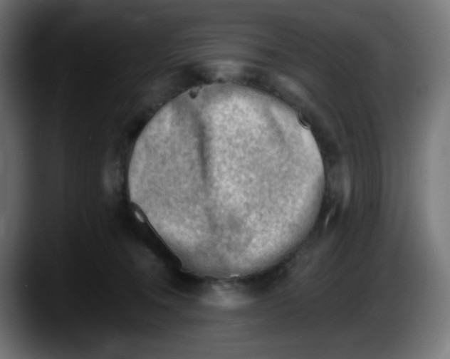 X0000087550372200705251745