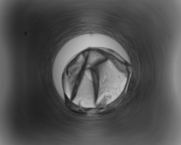 X0000087550376200705251745
