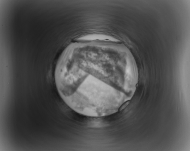 X0000087550377200705251745